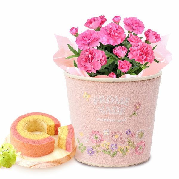 刺繍ブリキ3号カーネ【ピンク】+苺バウム 母の日 プレゼント 花 生花 ギフト 鉢植え 花鉢 お花 カーネーション 猫 ねこ ネコ 猫グッズ 動物 アニマル バウムクーヘン バウム おしゃれ 送料無料 スイーツ お菓子 洋菓子 ギフトセット