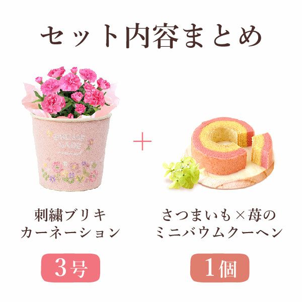 刺繍ブリキ3号カーネ【ピンク】+苺バウム 母の日 プレゼント 花 生花 ギフト 鉢植え 花鉢 お花 カーネーション 猫 ねこ ネコ 猫グッズ 動物 アニマル バウムクーヘン バウム おしゃれ 送料無料 スイーツ お菓子 洋菓子 ギフトセット