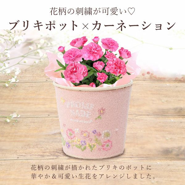 刺繍ブリキ3号カーネ【ピンク】+苺バウム 母の日 プレゼント 花 生花 ギフト 鉢植え 花鉢 お花 カーネーション 猫 ねこ ネコ 猫グッズ 動物 アニマル バウムクーヘン バウム おしゃれ 送料無料 スイーツ お菓子 洋菓子 ギフトセット