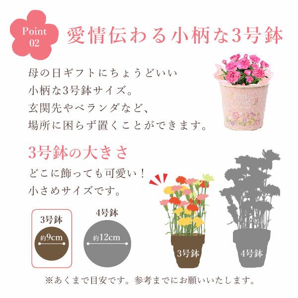 刺繍ブリキ3号カーネ【ピンク】+苺バウム 母の日 プレゼント 花 生花 ギフト 鉢植え 花鉢 お花 カーネーション 猫 ねこ ネコ 猫グッズ 動物 アニマル バウムクーヘン バウム おしゃれ 送料無料 スイーツ お菓子 洋菓子 ギフトセット