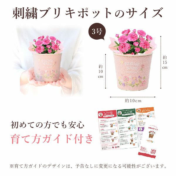 刺繍ブリキ3号カーネ【ピンク】+苺バウム 母の日 プレゼント 花 生花 ギフト 鉢植え 花鉢 お花 カーネーション 猫 ねこ ネコ 猫グッズ 動物 アニマル バウムクーヘン バウム おしゃれ 送料無料 スイーツ お菓子 洋菓子 ギフトセット