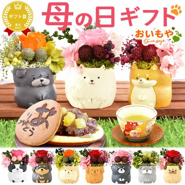母の日 プレゼント 花 ギフト プリザーブドフラワー 犬 犬好き フラワーアレンジメント かわいい おしゃれ ペット バラ 薔薇 一輪 アニマル 動物 ミニ 置き物 送料無料 スイーツ お菓子 和菓子 ギフトセット おいもや
