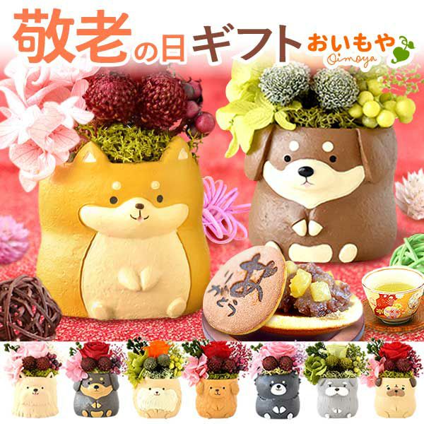 母の日 プレゼント 花 ギフト プリザーブドフラワー 犬 犬好き フラワーアレンジメント かわいい おしゃれ ペット バラ 薔薇 一輪 アニマル 動物 ミニ 置き物 送料無料 スイーツ お菓子 和菓子 ギフトセット おいもや