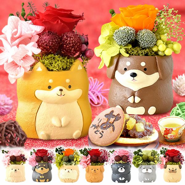 プレゼント 花 ギフト プリザーブドフラワー 犬 犬好き フラワーアレンジメント かわいい おしゃれ ペット バラ 薔薇 一輪 アニマル 動物 ミニ 置き物 送料無料 スイーツ お菓子 和菓子 ギフトセット おいもや