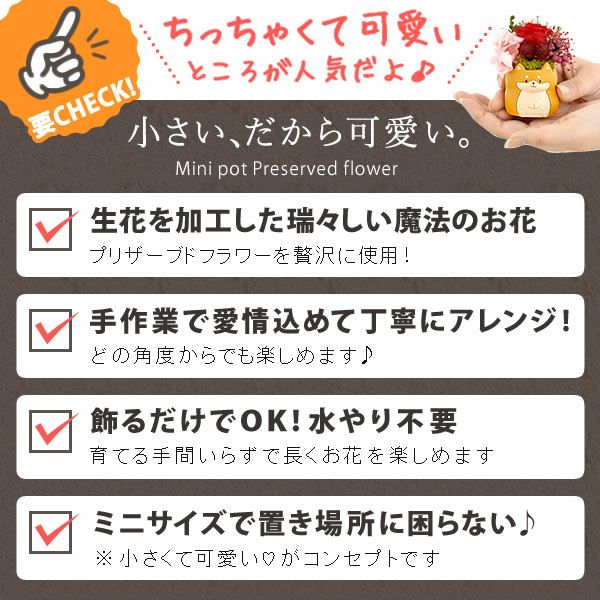 母の日 プレゼント 花 ギフト プリザーブドフラワー 犬 犬好き フラワーアレンジメント かわいい おしゃれ ペット バラ 薔薇 一輪 アニマル 動物 ミニ 置き物 送料無料 スイーツ お菓子 和菓子 ギフトセット おいもや