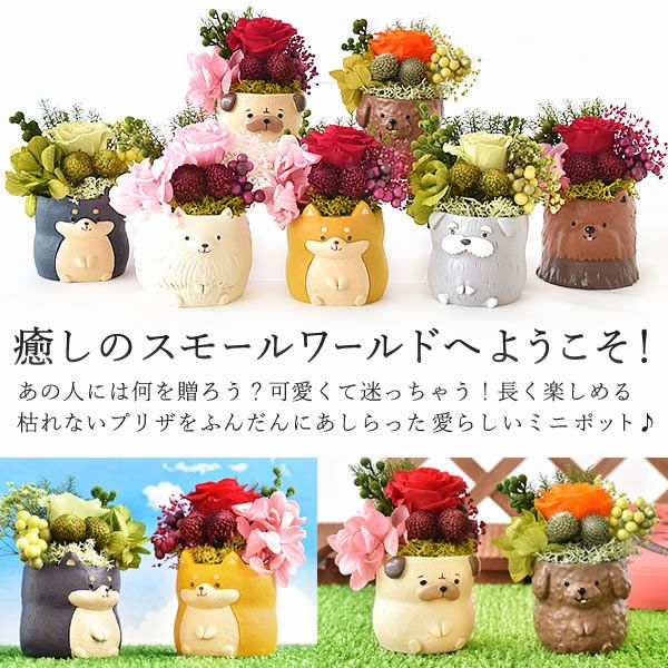 母の日 プレゼント 花 ギフト プリザーブドフラワー 犬 犬好き フラワーアレンジメント かわいい おしゃれ ペット バラ 薔薇 一輪 アニマル 動物 ミニ 置き物 送料無料 スイーツ お菓子 和菓子 ギフトセット おいもや