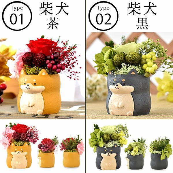 母の日 プレゼント 花 ギフト プリザーブドフラワー 犬 犬好き フラワーアレンジメント かわいい おしゃれ ペット バラ 薔薇 一輪 アニマル 動物 ミニ 置き物 送料無料 スイーツ お菓子 和菓子 ギフトセット おいもや