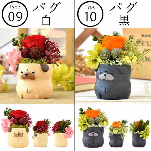 母の日 プレゼント 花 ギフト プリザーブドフラワー 犬 犬好き フラワーアレンジメント かわいい おしゃれ ペット バラ 薔薇 一輪 アニマル 動物 ミニ 置き物 送料無料 スイーツ お菓子 和菓子 ギフトセット おいもや