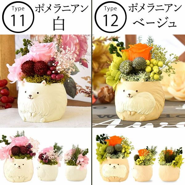母の日 プレゼント 花 ギフト プリザーブドフラワー 犬 犬好き フラワーアレンジメント かわいい おしゃれ ペット バラ 薔薇 一輪 アニマル 動物 ミニ 置き物 送料無料 スイーツ お菓子 和菓子 ギフトセット おいもや