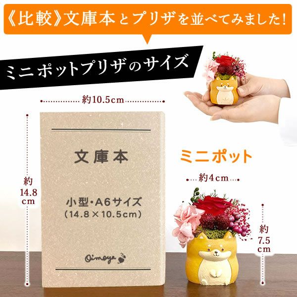 母の日 プレゼント 花 ギフト プリザーブドフラワー 犬 犬好き フラワーアレンジメント かわいい おしゃれ ペット バラ 薔薇 一輪 アニマル 動物 ミニ 置き物 送料無料 スイーツ お菓子 和菓子 ギフトセット おいもや