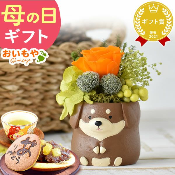 母の日 プレゼント 花 ギフト プリザーブドフラワー 犬 犬好き フラワーアレンジメント かわいい おしゃれ ペット バラ 薔薇 一輪 アニマル 動物 ミニ 置き物 送料無料 スイーツ お菓子 和菓子 ギフトセット おいもや