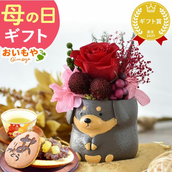 母の日 プレゼント 花 ギフト プリザーブドフラワー 犬 犬好き フラワーアレンジメント かわいい おしゃれ ペット バラ 薔薇 一輪 アニマル 動物 ミニ 置き物 送料無料 スイーツ お菓子 和菓子 ギフトセット おいもや