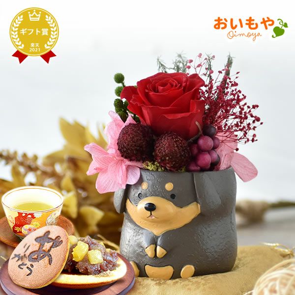 母の日 プレゼント 花 ギフト プリザーブドフラワー 犬 犬好き フラワーアレンジメント かわいい おしゃれ ペット バラ 薔薇 一輪 アニマル 動物 ミニ 置き物 送料無料 スイーツ お菓子 和菓子 ギフトセット おいもや