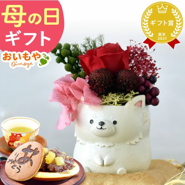 母の日 プレゼント 花 ギフト プリザーブドフラワー 犬 犬好き フラワーアレンジメント かわいい おしゃれ ペット バラ 薔薇 一輪 アニマル 動物 ミニ 置き物 送料無料 スイーツ お菓子 和菓子 ギフトセット おいもや
