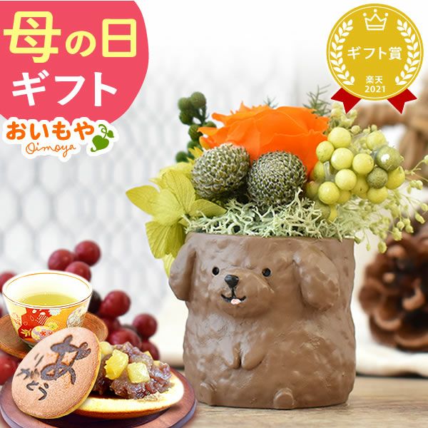 母の日 プレゼント 花 ギフト プリザーブドフラワー 犬 犬好き フラワーアレンジメント かわいい おしゃれ ペット バラ 薔薇 一輪 アニマル 動物 ミニ 置き物 送料無料 スイーツ お菓子 和菓子 ギフトセット おいもや