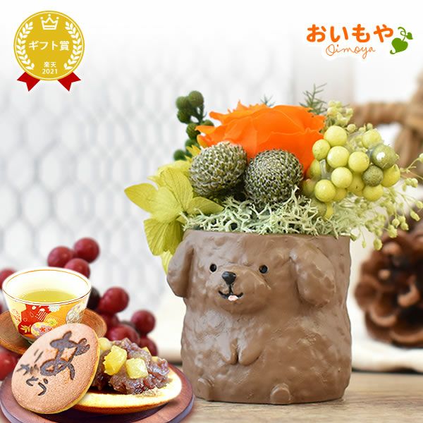 母の日 プレゼント 花 ギフト プリザーブドフラワー 犬 犬好き フラワーアレンジメント かわいい おしゃれ ペット バラ 薔薇 一輪 アニマル 動物 ミニ 置き物 送料無料 スイーツ お菓子 和菓子 ギフトセット おいもや