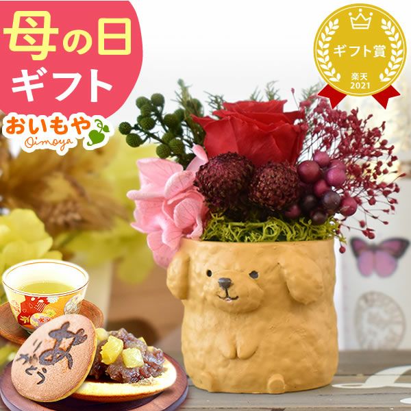 母の日 プレゼント 花 ギフト プリザーブドフラワー 犬 犬好き フラワーアレンジメント かわいい おしゃれ ペット バラ 薔薇 一輪 アニマル 動物 ミニ 置き物 送料無料 スイーツ お菓子 和菓子 ギフトセット おいもや