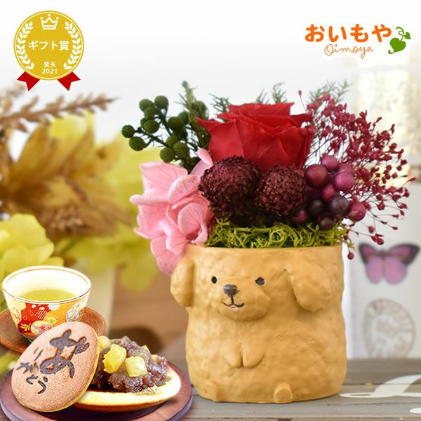 母の日 プレゼント 花 ギフト プリザーブドフラワー 犬 犬好き フラワーアレンジメント かわいい おしゃれ ペット バラ 薔薇 一輪 アニマル 動物 ミニ 置き物 送料無料 スイーツ お菓子 和菓子 ギフトセット おいもや