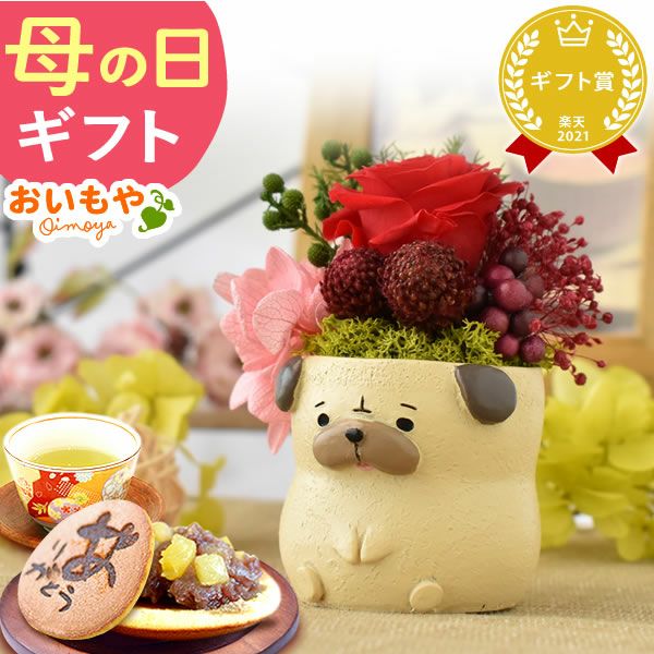 母の日 プレゼント 花 ギフト プリザーブドフラワー 犬 犬好き フラワーアレンジメント かわいい おしゃれ ペット バラ 薔薇 一輪 アニマル 動物 ミニ 置き物 送料無料 スイーツ お菓子 和菓子 ギフトセット おいもや