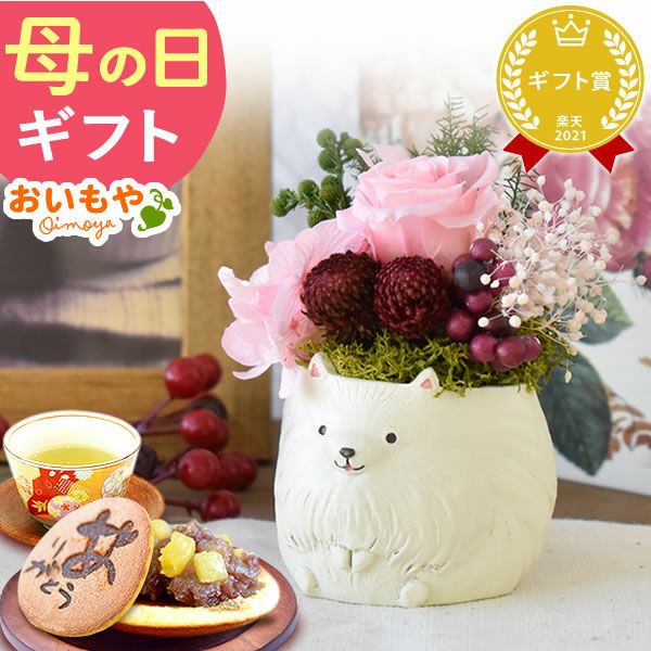 母の日 プレゼント 花 ギフト プリザーブドフラワー 犬 犬好き フラワーアレンジメント かわいい おしゃれ ペット バラ 薔薇 一輪 アニマル 動物 ミニ 置き物 送料無料 スイーツ お菓子 和菓子 ギフトセット おいもや