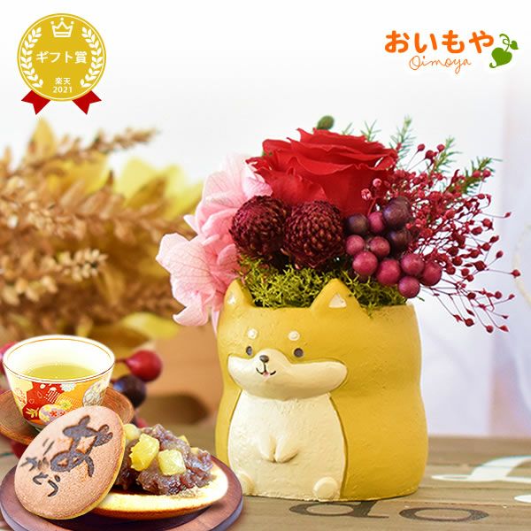 プレゼント 花 ギフト プリザーブドフラワー 犬 犬好き フラワーアレンジメント かわいい おしゃれ ペット バラ 薔薇 一輪 アニマル 動物 ミニ 置き物 送料無料 スイーツ お菓子 和菓子 ギフトセット おいもや