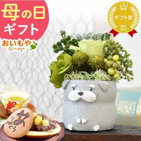 母の日 プレゼント 花 ギフト プリザーブドフラワー 犬 犬好き フラワーアレンジメント かわいい おしゃれ ペット バラ 薔薇 一輪 アニマル 動物 ミニ 置き物 送料無料 スイーツ お菓子 和菓子 ギフトセット おいもや