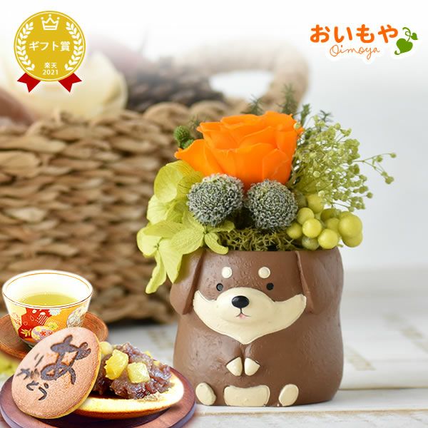 プレゼント 花 ギフト プリザーブドフラワー 犬 犬好き フラワーアレンジメント かわいい おしゃれ ペット バラ 薔薇 一輪 アニマル 動物 ミニ 置き物 送料無料 スイーツ お菓子 和菓子 ギフトセット おいもや
