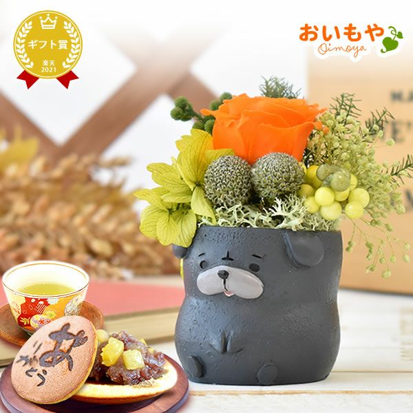 プレゼント 花 ギフト プリザーブドフラワー 犬 犬好き フラワーアレンジメント かわいい おしゃれ ペット バラ 薔薇 一輪 アニマル 動物 ミニ 置き物 送料無料 スイーツ お菓子 和菓子 ギフトセット おいもや