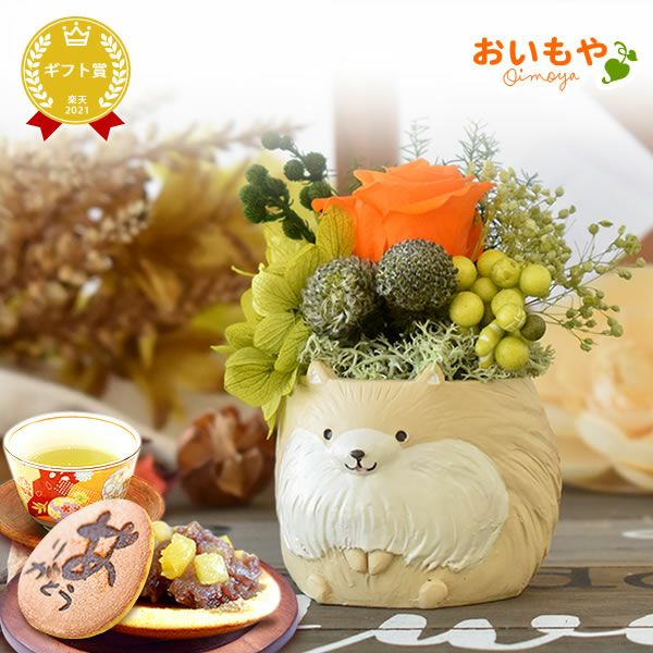 プレゼント 花 ギフト プリザーブドフラワー 犬 犬好き フラワーアレンジメント かわいい おしゃれ ペット バラ 薔薇 一輪 アニマル 動物 ミニ 置き物 送料無料 スイーツ お菓子 和菓子 ギフトセット おいもや