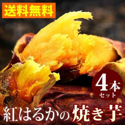 紅はるかの焼き芋 (4本) 【送料無料 国産 焼きいも 焼芋 やきいも ヤキイモ 紅はるか べにはるか ベニハルカ さつまいも サツマイモ 薩摩芋 スイーツ 個包装 冷凍 冷やし 冷やし焼き芋 冷凍焼き芋 ひんやりスイーツ】