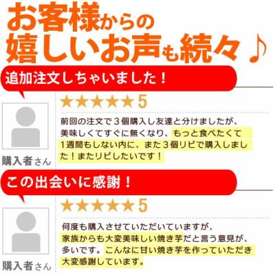 紅はるかの焼き芋 (4本) 【送料無料 国産 焼きいも 焼芋 やきいも ヤキイモ 紅はるか べにはるか ベニハルカ さつまいも サツマイモ 薩摩芋 スイーツ 個包装 冷凍 冷やし 冷やし焼き芋 冷凍焼き芋 ひんやりスイーツ】