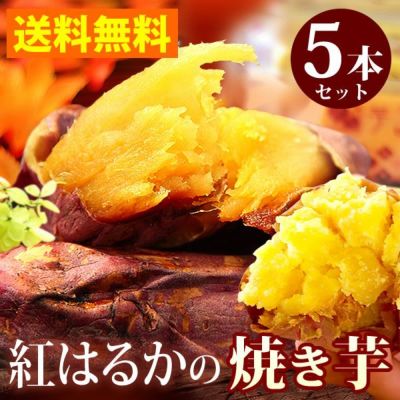 紅はるかの焼き芋 (5本) 【送料無料 国産 焼きいも 焼芋 やきいも ヤキイモ 紅はるか べにはるか ベニハルカ さつまいも サツマイモ 薩摩芋 スイーツ 個包装 冷凍 冷やし 冷やし焼き芋 冷凍焼き芋 ひんやりスイーツ】