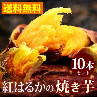 紅はるかの焼き芋 (10本) 【送料無料 国産 焼きいも 焼芋 やきいも ヤキイモ 紅はるか べにはるか ベニハルカ さつまいも サツマイモ 薩摩芋 スイーツ 個包装 冷凍 冷やし 冷やし焼き芋 冷凍焼き芋 ひんやりスイーツ】