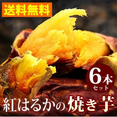 紅はるかの焼き芋 (6本) 【送料無料 国産 焼きいも 焼芋 やきいも ヤキイモ 紅はるか べにはるか ベニハルカ さつまいも サツマイモ 薩摩芋 スイーツ 個包装 冷凍 冷やし 冷やし焼き芋 冷凍焼き芋 ひんやりスイーツ】