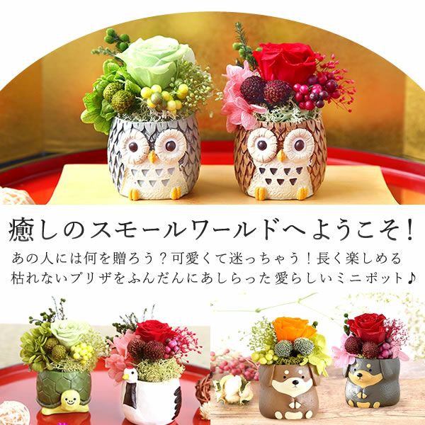 母の日 プレゼント 花 ギフト プリザーブドフラワー アニマル 動物 ペア ミニ 小さい かわいい おしゃれ ふくろう 犬 猫 バラ 薔薇 一輪 セット どら焼き どらやき 送料無料 スイーツ お菓子 和菓子 ギフトセット おいもや