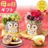 母の日 プレゼント 花 ギフト プリザーブドフラワー アニマル 動物 ペア ミニ 小さい かわいい おしゃれ ふくろう 犬 猫 バラ 薔薇 一輪 セット どら焼き どらやき 送料無料 スイーツ お菓子 和菓子 ギフトセット おいもや
