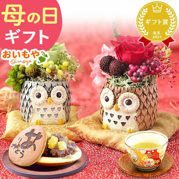 母の日 プレゼント 花 ギフト プリザーブドフラワー アニマル 動物 ペア ミニ 小さい かわいい おしゃれ ふくろう 犬 猫 バラ 薔薇 一輪 セット どら焼き どらやき 送料無料 スイーツ お菓子 和菓子 ギフトセット おいもや