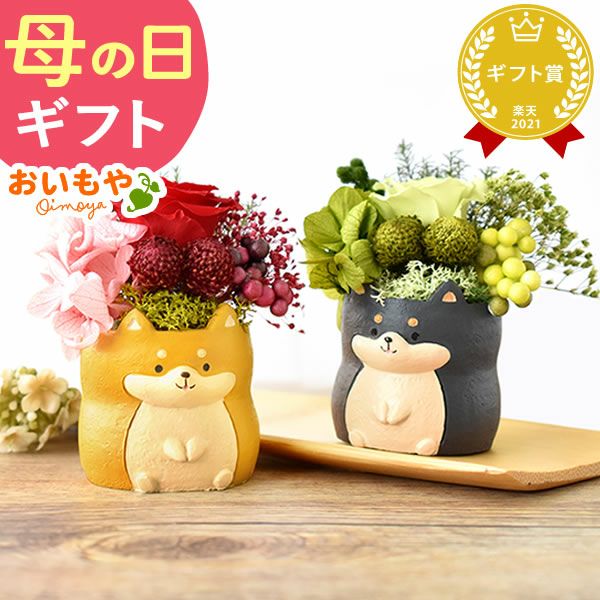 母の日 プレゼント 花 ギフト プリザーブドフラワー アニマル 動物 ペア ミニ 小さい かわいい おしゃれ ふくろう 犬 猫 バラ 薔薇 一輪 セット どら焼き どらやき 送料無料 スイーツ お菓子 和菓子 ギフトセット おいもや