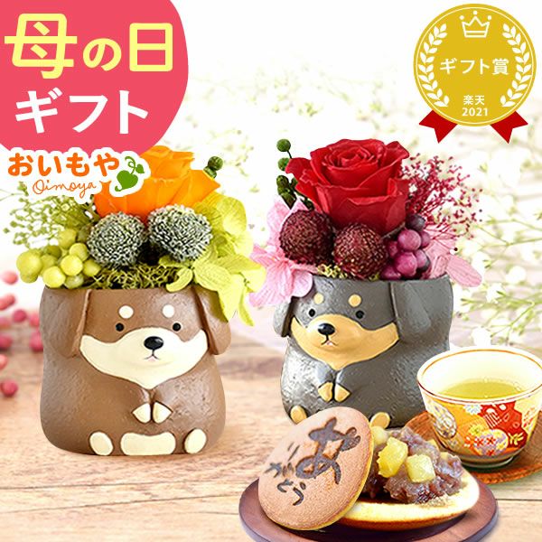 母の日 プレゼント 花 ギフト プリザーブドフラワー アニマル 動物 ペア ミニ 小さい かわいい おしゃれ ふくろう 犬 猫 バラ 薔薇 一輪 セット どら焼き どらやき 送料無料 スイーツ お菓子 和菓子 ギフトセット おいもや