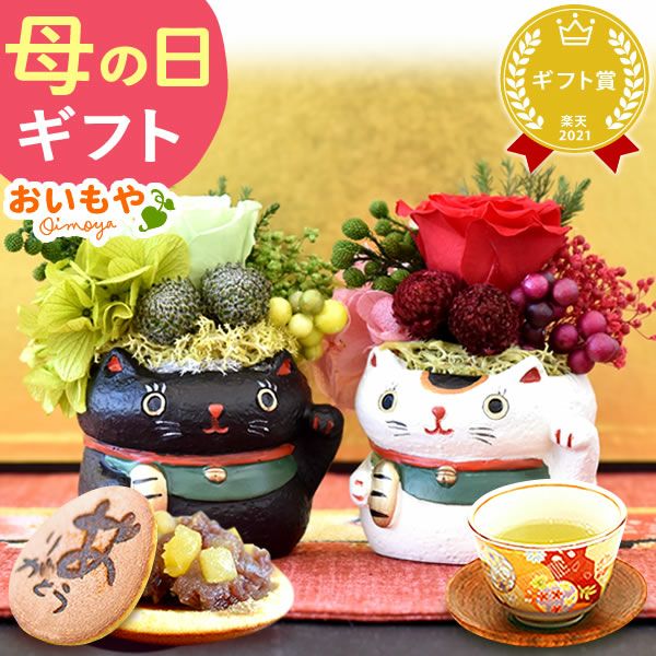 母の日 プレゼント 花 ギフト プリザーブドフラワー アニマル 動物 ペア ミニ 小さい かわいい おしゃれ ふくろう 犬 猫 バラ 薔薇 一輪 セット どら焼き どらやき 送料無料 スイーツ お菓子 和菓子 ギフトセット おいもや