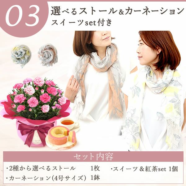 選べる雑貨セット＆４号鉢花カーネーション 母の日 早割 プレゼント 花 生花 ギフト カーネーション 4号 鉢植え 鉢花 花鉢 エプロン 日傘 実用的 ワンピース ストール アームカバー 傘 折りたたみ傘 ムーミン 水筒 送料無料 スイーツ お菓子 洋菓子 ギフトセット おいもや