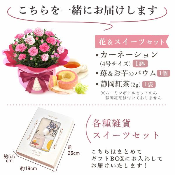 選べる雑貨セット＆４号鉢花カーネーション 母の日 早割 プレゼント 花 生花 ギフト カーネーション 4号 鉢植え 鉢花 花鉢 エプロン 日傘 実用的 ワンピース ストール アームカバー 傘 折りたたみ傘 ムーミン 水筒 送料無料 スイーツ お菓子 洋菓子 ギフトセット おいもや
