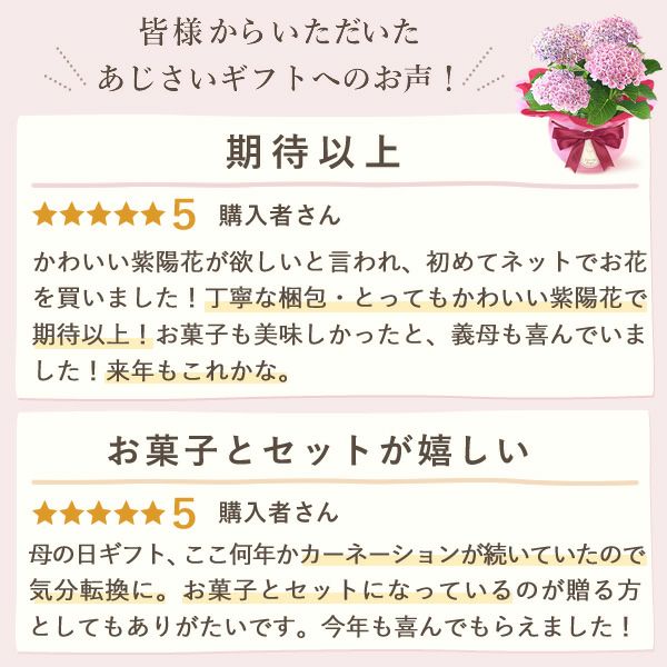 あじさい (4号) ＆選べるスイーツセット 母の日 プレゼント ははの日 花 生花 ギフト 選べる アジサイ 紫陽花 あじさい 4号 鉢花 花鉢 鉢植え 生花 どら焼き どらやき スイートポテト みかんゼリー 送料無料 スイーツ お菓子 和菓子 洋菓子 ギフトセット おいもや