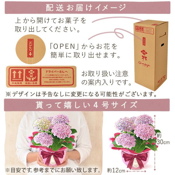 あじさい (4号) ＆選べるスイーツセット 母の日 プレゼント ははの日 花 生花 ギフト 選べる アジサイ 紫陽花 あじさい 4号 鉢花 花鉢 鉢植え 生花 どら焼き どらやき スイートポテト みかんゼリー 送料無料 スイーツ お菓子 和菓子 洋菓子 ギフトセット おいもや