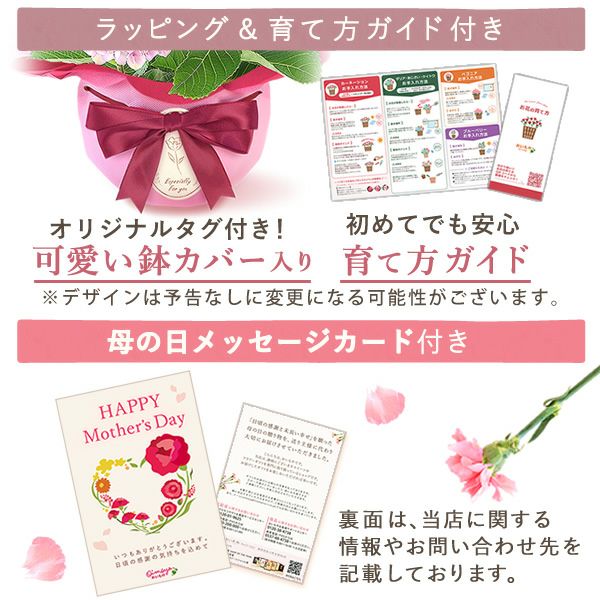 あじさい (4号) ＆選べるスイーツセット 母の日 プレゼント ははの日 花 生花 ギフト 選べる アジサイ 紫陽花 あじさい 4号 鉢花 花鉢 鉢植え 生花 どら焼き どらやき スイートポテト みかんゼリー 送料無料 スイーツ お菓子 和菓子 洋菓子 ギフトセット おいもや