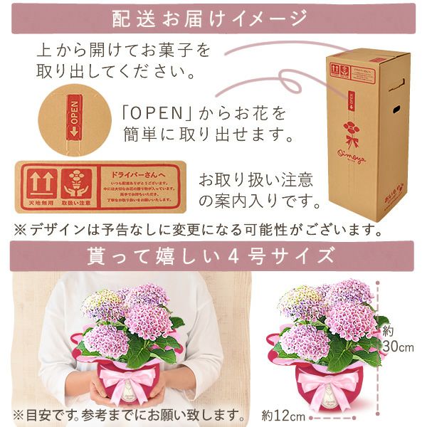 あじさい (4号) ＆選べるスイーツセット 母の日 プレゼント ははの日 花 生花 ギフト 選べる アジサイ 紫陽花 あじさい 4号 鉢花 花鉢 鉢植え 生花 どら焼き どらやき スイートポテト みかんゼリー 送料無料 スイーツ お菓子 和菓子 洋菓子 ギフトセット おいもや