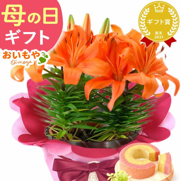  選べる鉢花(デュランタ・ゆり)＋苺バウム 