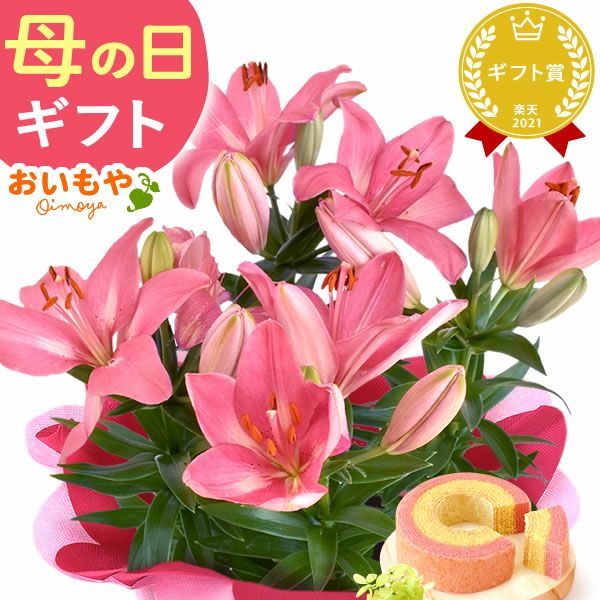  選べる鉢花(デュランタ・ゆり)＋苺バウム 