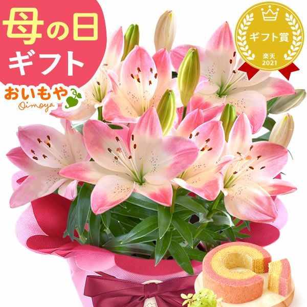  選べる鉢花(デュランタ・ゆり)＋苺バウム 