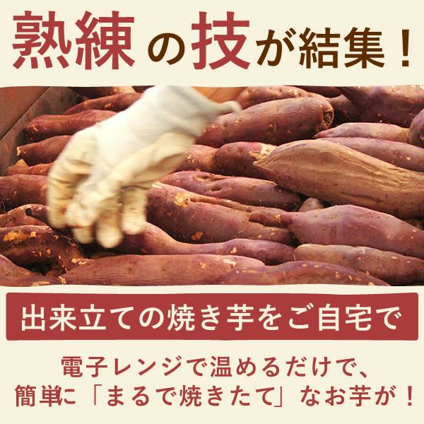 選べる2種！干し芋・焼き芋母の日ギフト 母の日 プレゼント ギフト 干し芋 干しいも ほしいも 焼き芋 やきいも 紅あずま 国産 無添加 個包装 詰め合わせ お取り寄せ さつまいもスイーツ 花以外 送料無料 スイーツ お菓子 和菓子 食べ物 ギフトセット おいもや